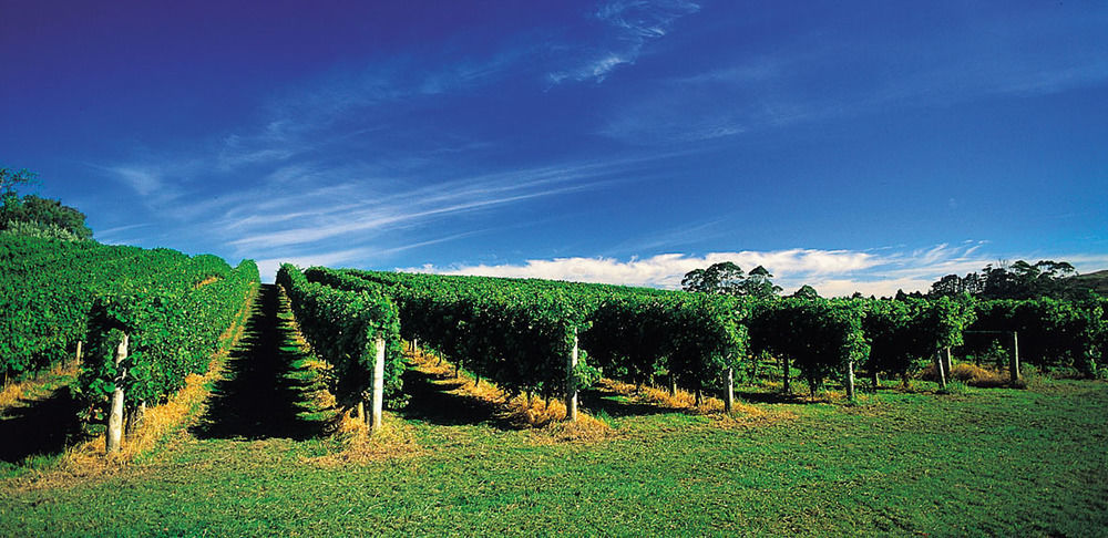 Vineyard Cottages - Kumeu Waimauku Exterior photo