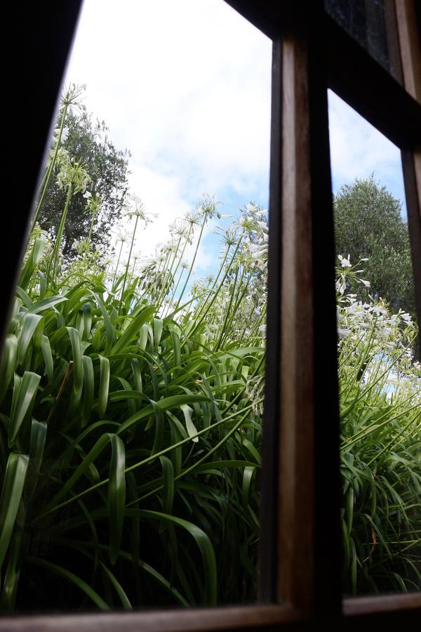 Vineyard Cottages - Kumeu Waimauku Exterior photo