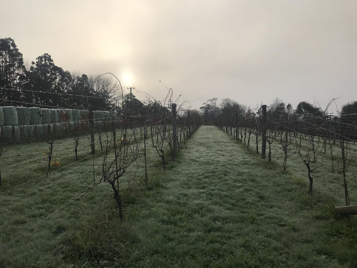 Vineyard Cottages - Kumeu Waimauku Exterior photo